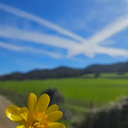 Rural Labriega Del Hueznar * Cazalla de la Sierra